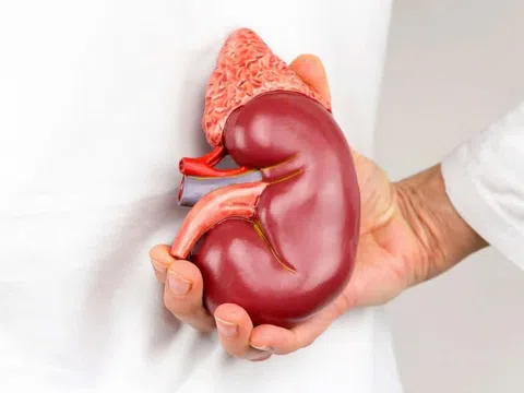 Các nguyên nhân dễ dẫn đến chứng bệnh suy thận