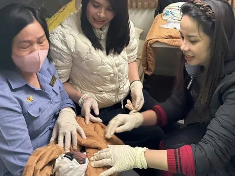 Em bé chào đời an toàn ngay trên tàu hỏa TP.HCM - Hà Nội