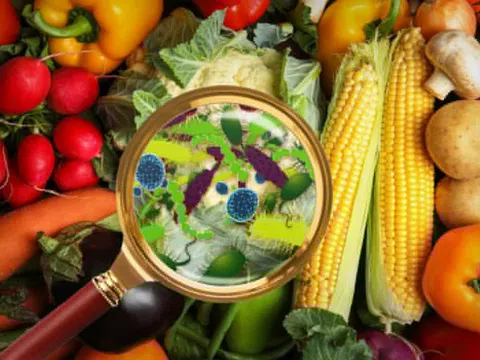 Thực phẩm bẩn có thể gây ra những bệnh ung thư nào?