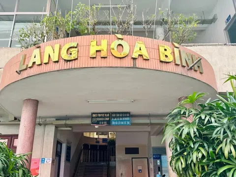 9 trẻ em bị bỏ rơi, chưa có giấy khai sinh ở Bệnh viện Từ Dũ