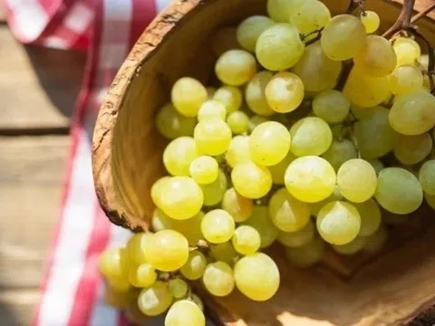 Điều gì xảy ra với cơ thể khi ăn nho mỗi ngày?