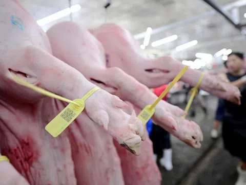 Chỉ cần nấu chín kỹ là an toàn: Đúng nhưng chưa đủ