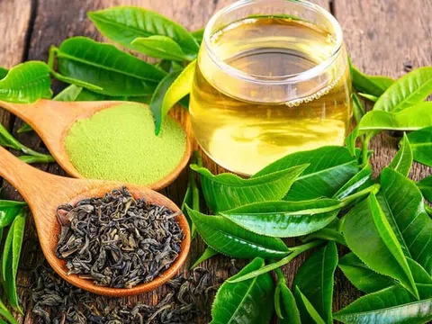 Những loại đồ uống có lợi cho trí nhớ và sự tập trung