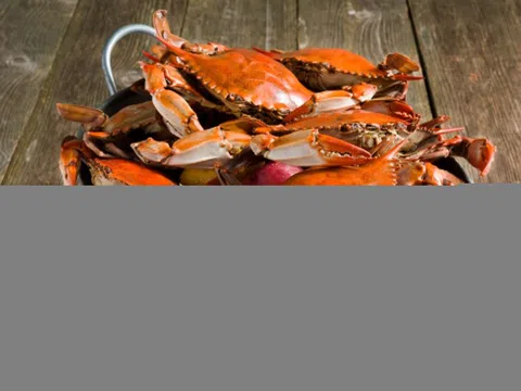 Bốn bộ phận của cua rất bẩn, ngon mấy cũng nên tránh ăn