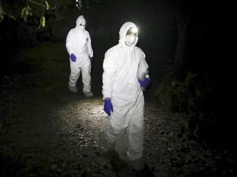 Khác biệt giữa lây nhiễm virus Nipah và Covid-19