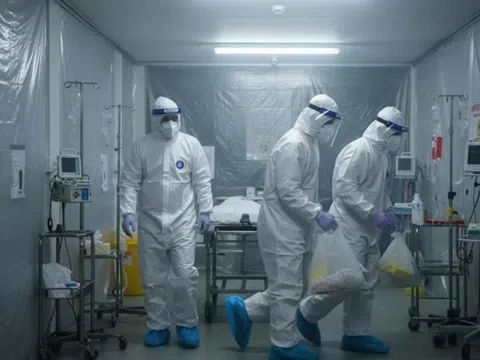 Tăng cường phòng, chống virus Nipah: Bộ Y tế chỉ đạo khẩn