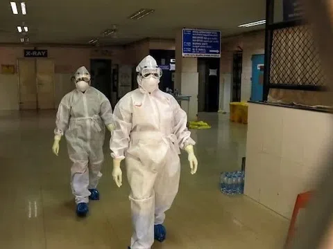 Virus Nipah bùng phát ở Ấn Độ, TP.HCM phát thông báo mới