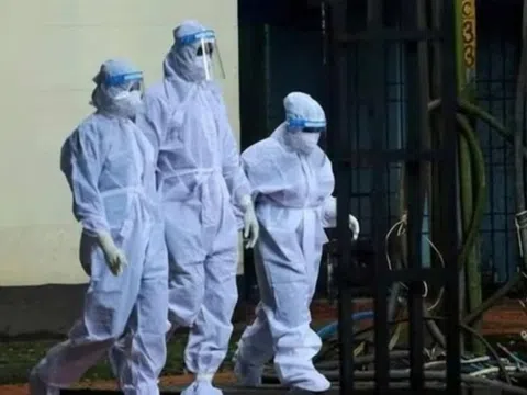 Chuyên gia nói về nguy cơ virus Nipah xâm nhập Việt Nam