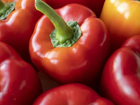 5 thực phẩm hỗ trợ thận lọc và thải độc mỗi ngày