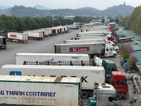 Bộ Y tế đề xuất tạm dừng hai văn bản siết quản lý an toàn thực phẩm