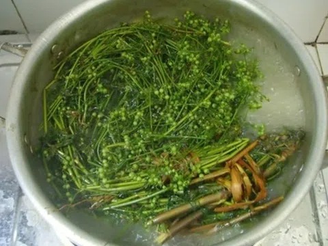 Tắm nước mùi già có tác dụng gì?