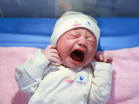 Những công dân nhí ‘Ngựa vàng’ đầu tiên chào đời của năm Bính Ngọ 2026