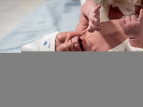 Khoảnh khắc đón những 'ngựa vàng' đầu tiên năm Bính Ngọ