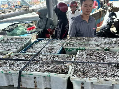 Những món ăn giúp tăng cường sức khỏe cho làn da, giúp bạn sẵn sàng một năm làm việc mới