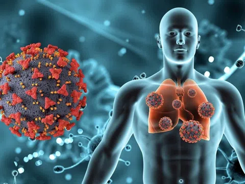 Dấu hiệu cảnh báo bệnh gan giai đoạn đầu