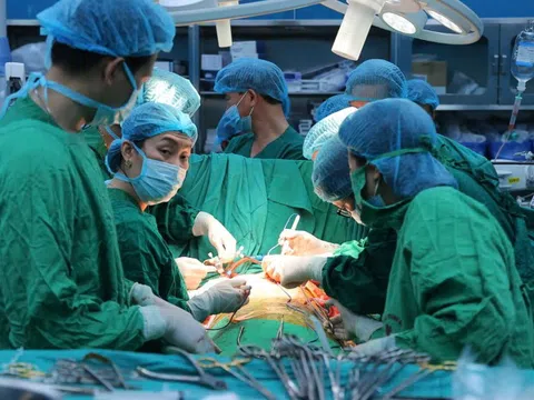 Những cuộc đời được 'tái sinh' nhờ ghép phổi