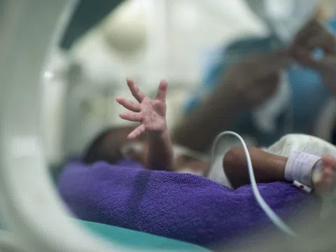 Những sinh linh bé nhỏ bắt đầu cuộc đời bằng một cuộc chiến