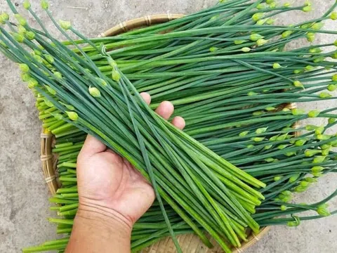 4 cách dùng rau hẹ chữa bệnh