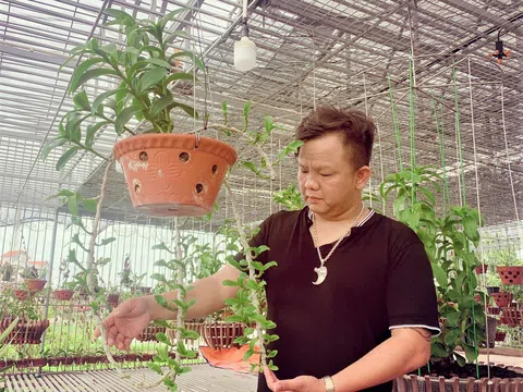 Nguyễn Đăng Ghin chàng trai 8X "đổi đời" từ một nghề vốn chỉ biết đến là thú chơi