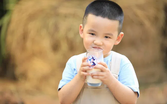 Cải tiến liên tục - chìa khóa đưa Cô Gái Hà Lan vào top đầu ngành sữa
