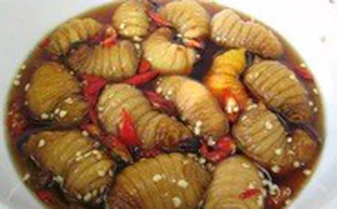 Khó thở, mẩn ngứa khắp người sau khi ăn 2 con đuông dừa