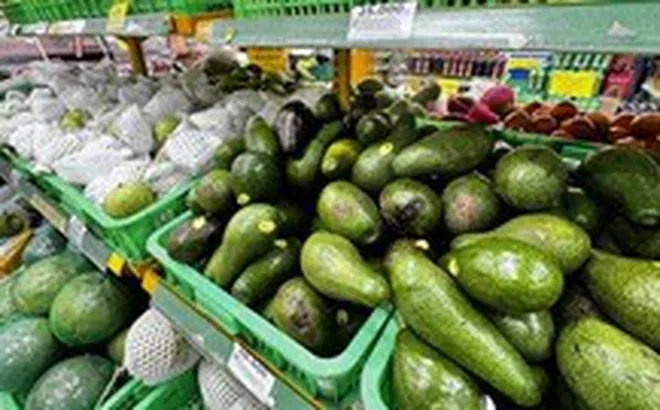 Bơ là loại trái cây giúp giữ dáng, đẹp da nhưng ai không nên ăn?