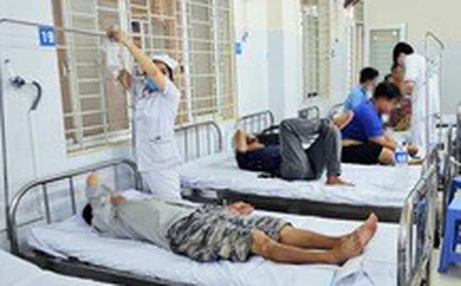 Vụ ngộ độc sau khi ăn bánh mì: Đã tăng lên 487 ca