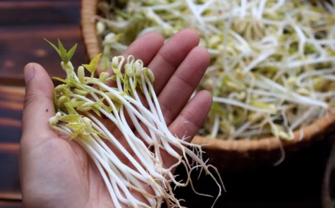 Những người không nên ăn giá đỗ