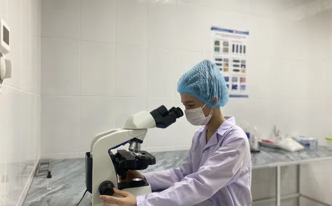 Hà Tĩnh cảnh báo một bệnh truyền nhiễm tái xuất