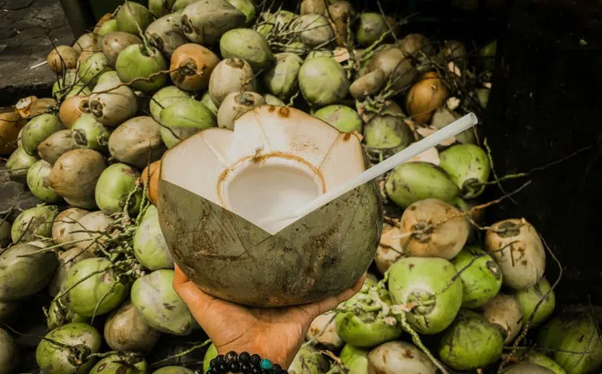 Sốt xuất huyết không được uống nước dừa?