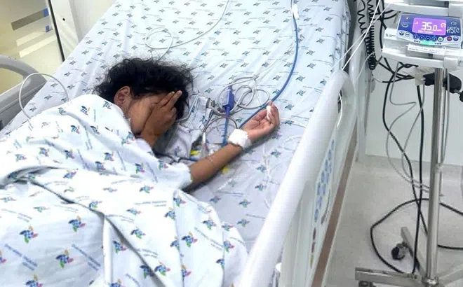 Bé gái bị ong vò vẽ đốt 53 mũi