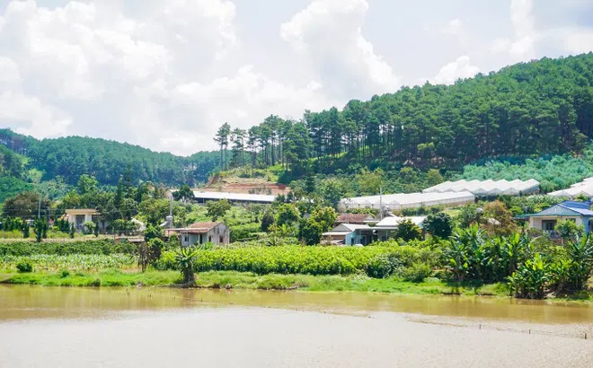 Chữa lành ở Nam Ban