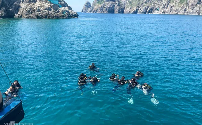 Lặn ngắm san hô, khám phá đáy vịnh Nha Trang