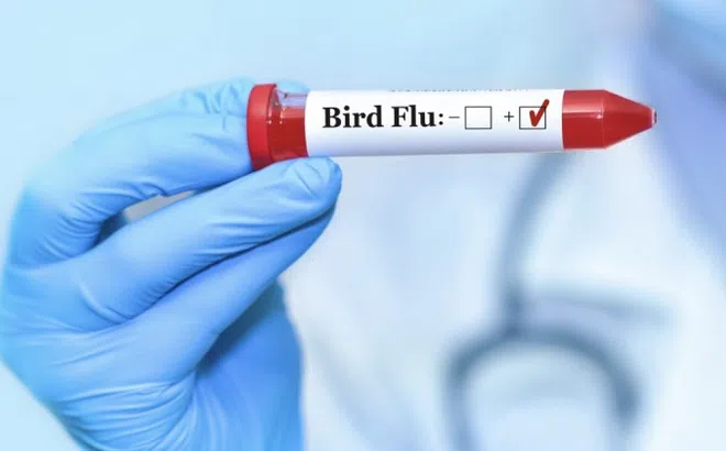 Nơi đầu tiên trên thế giới tiêm vaccine cúm gia cầm cho người