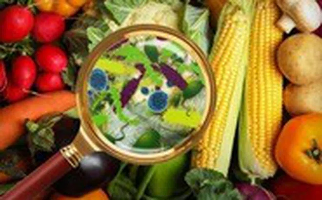 Nắng nóng, thực phẩm nào dễ bị nhiễm khuẩn nhất?