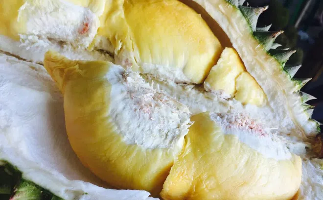 Những người nên kiêng ăn sầu riêng