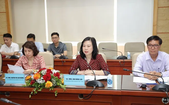 Bộ Y tế làm việc với chuyên gia quốc tế về dịch sởi