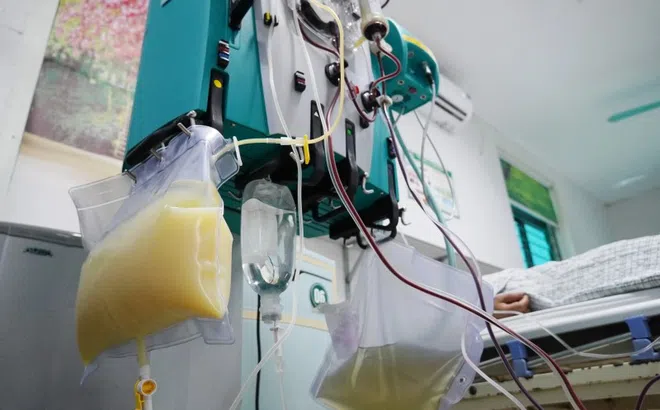 Căn bệnh khiến người đàn ông nhập viện đau đớn, máu đục như sữa