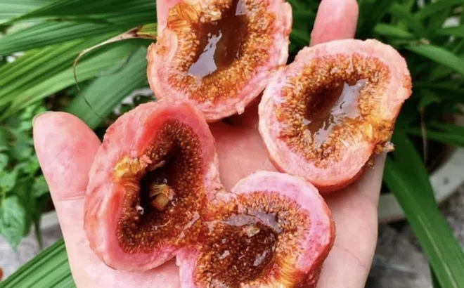 Thói quen tai hại khi ăn khiến người đàn ông đi cấp cứu