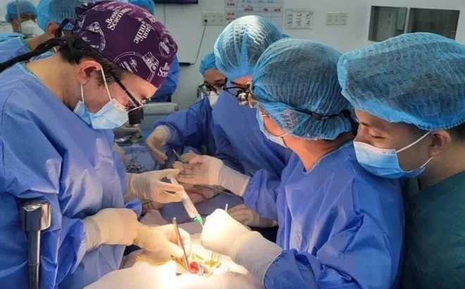 Số ca ghép tạng ở Việt Nam đứng đầu Đông Nam Á