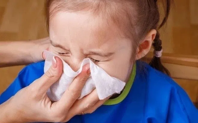 Cách virus hợp bào hô hấp RSV lây lan