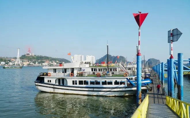 Khuyến khích bỏ tàu du lịch vỏ gỗ trên vịnh Hạ Long
