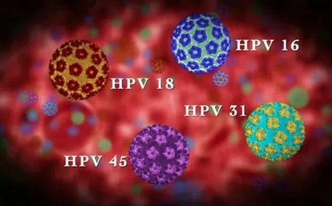 Tiêm vaccine có hiệu quả không nếu đã bị nhiễm virus HPV?