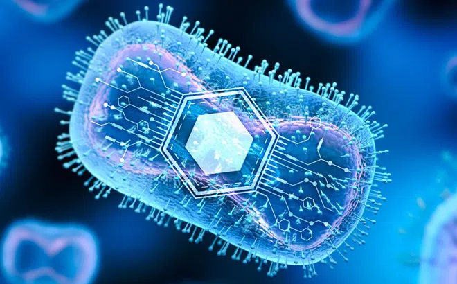 Đột phá điều trị ung thư bằng vi khuẩn