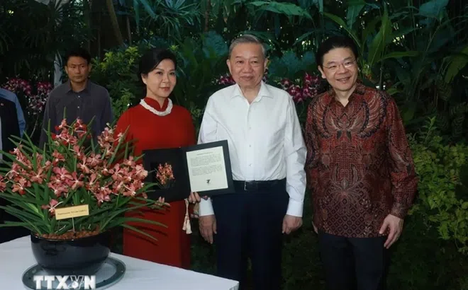 Bên trong Vườn lan quốc gia Singapore