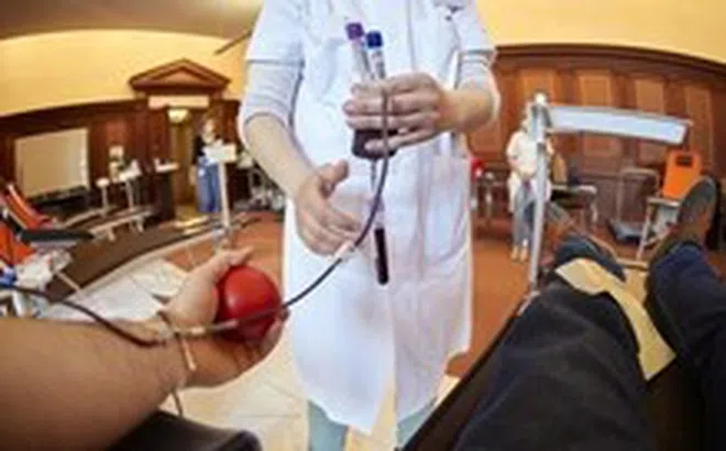 Phát hiện đột biến gene có lợi ở người thường hiến máu