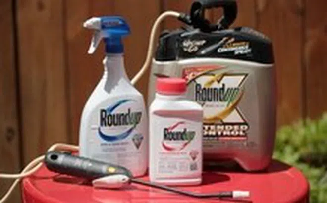 Tập đoàn Bayer bị phạt 2 tỉ USD vụ kiện thuốc diệt cỏ Roundup
