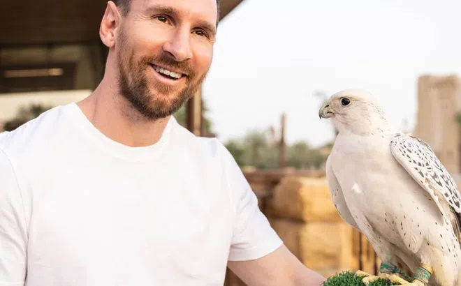 Gu mặc áo phông đơn sắc của Messi