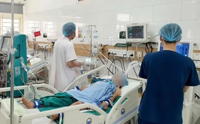 Vợ chồng trẻ hôn mê sâu, tổn thương, suy đa tạng do ăn phải nấm độc