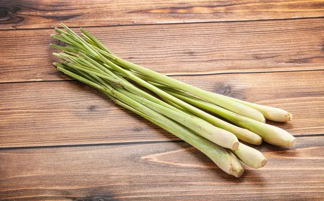 Uống nước lá tía tô với sả có tác dụng gì?
